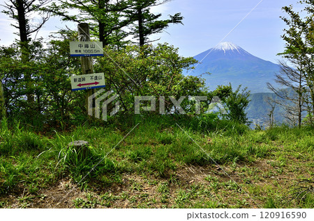 Spring in the Misaka Mountains: Mt. Fuji as seen from the summit of Mt. Nakafuji 120916590