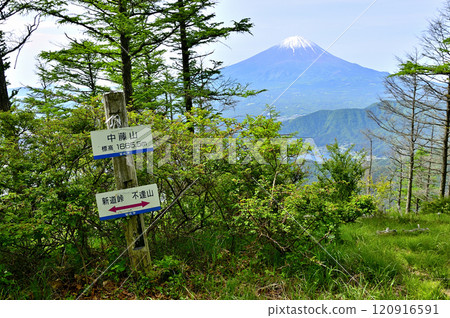 春天的御坂山，從中富士山頂看到的富士山 120916591