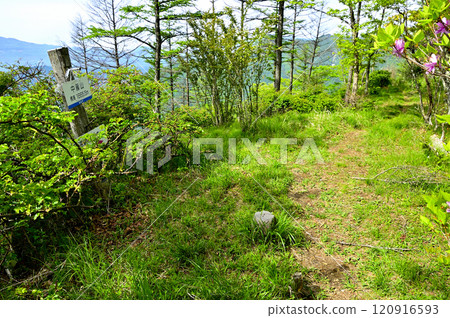 Spring in the Misaka Mountains: Mt. Fuji as seen from the summit of Mt. Nakafuji 120916593