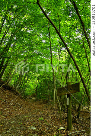 Misaka Mountains: Oishi Pass trailhead in Fuefuki City 120916701