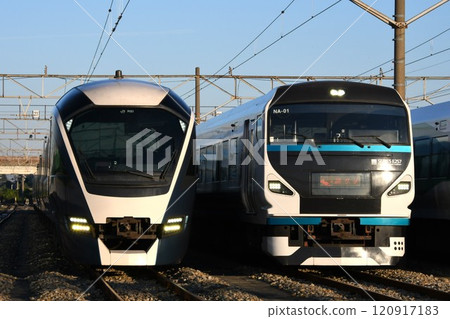 E261 series and E257 series 2000 with Odoriko markings lined up at Higashi-Omiya 120917183
