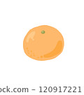 Illustration of a simple mandarin orange 120917221