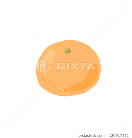 一個簡單的橘子的插圖 120917221