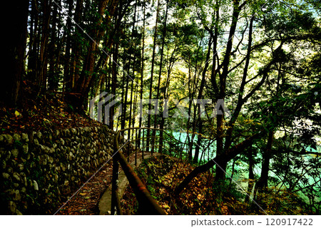 Autumn leaves in Okutama: the valley and Lake Shiromaru 120917422