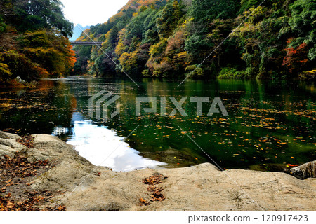 奧多摩谷和白丸湖秋葉風光 奧多摩谷和白丸湖秋葉風光 120917423