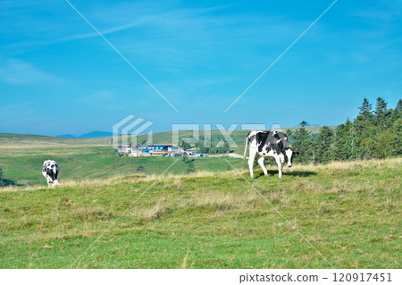 [Utsukushigahara Plateau (Ushibuseyama Ranch)] Takeishikamimotoiri, Ueda City, Nagano Prefecture 120917451