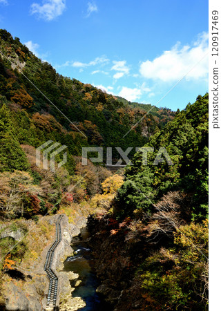 Autumn leaves in Okutama: the valley and Lake Shiromaru 120917469
