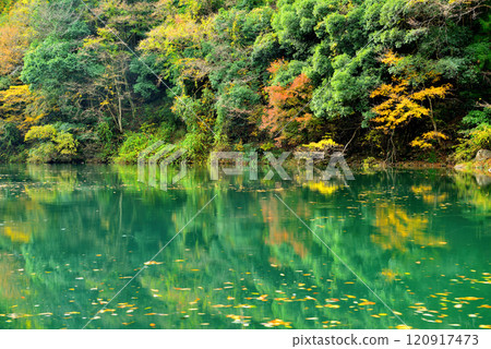 奧多摩谷和白丸湖秋葉風光 120917473