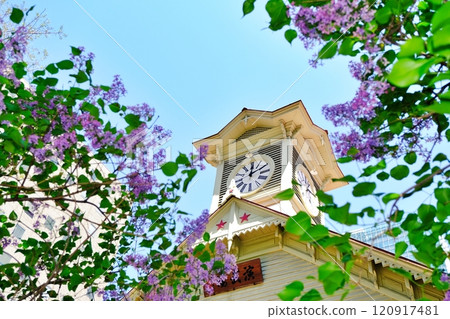 札幌鐘樓和丁香花 札幌鐘樓和丁香花 120917481