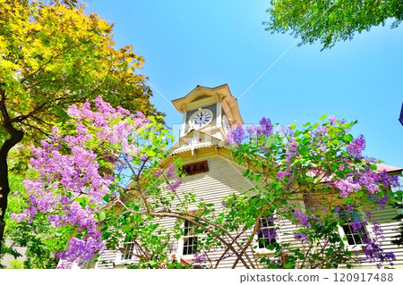 札幌鐘樓和丁香花 120917488