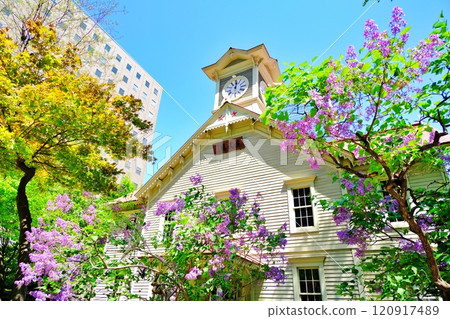 Sapporo Clock Tower and lilac flowers 120917489