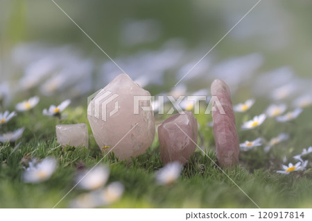 pink quartz  in nature 120917814