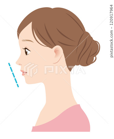 理想的 E 型線輪廓 理想的 E 型線輪廓 120917964