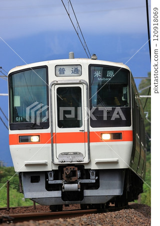 Tokaido Line 311 series train 120918069