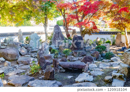 Autumn in the dry landscape garden at An'yoin Temple, Taisanji Temple, Kobe 120918104