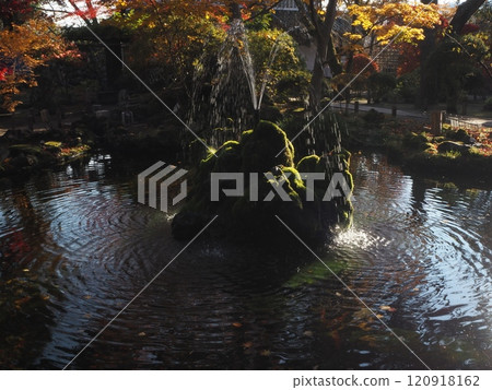 Autumn at the Old Pond 120918162