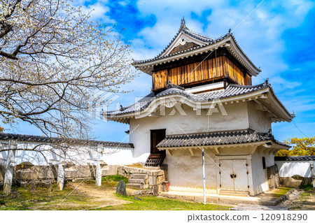 [Japan's 100 Famous Castles] Okayama Castle, Spring Moon Viewing Tower, Kita-ku, Okayama City, Okayama Prefecture 120918290