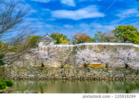 [Japan's 100 Famous Castles] Okayama Castle: Inner moat and stone walls in spring, Kita-ku, Okayama City, Okayama Prefecture 120918294
