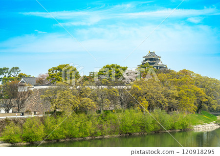 [Japan's 100 Famous Castles] Okayama Castle, Okayama Castle and Spring Asahikawa 4, Kita-ku, Okayama City, Okayama Prefecture 120918295