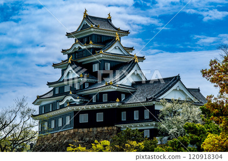 【日本名城百選】岡山城天守與春空 岡山縣岡山市北區2區 120918304