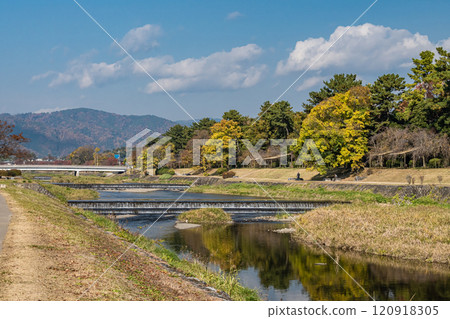 京都市初冬的鴨川（鴨川）半木路 120918305