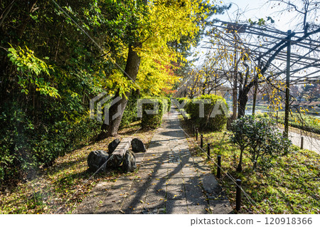 Kamogawa Hangi Road, Kyoto City 120918366