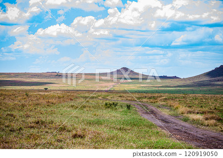Maasai Mara National Game Reserve Park Savannah Grassland Great rift valley wilderness nature fauna wild wildlife Narok County Kenya East Africa landscapes safaris travels discover trees road sky epic 120919050