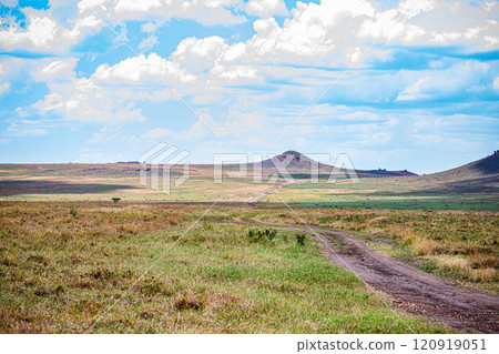 Maasai Mara National Game Reserve Park Savannah Grassland Great rift valley wilderness nature fauna wild wildlife Narok County Kenya East Africa landscapes safaris travels discover trees road sky epic 120919051