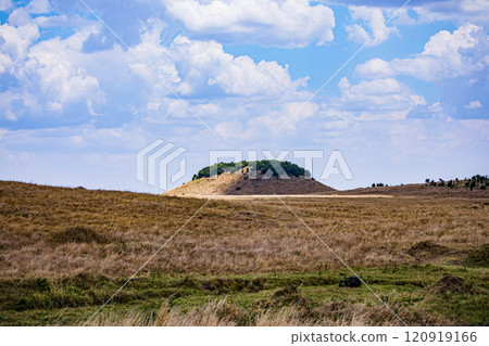Maasai Mara National Game Reserve Park Savannah Grassland Great rift valley wilderness nature fauna wild wildlife Narok County Kenya East Africa landscapes safaris travels discover trees road sky epic Maasai Mara National Game Reserve Park Savannah Grassland Great rift valley wilderness nature fauna wild wildlife Narok County Kenya East Africa landscapes safaris travels discover trees road sky epic 120919166