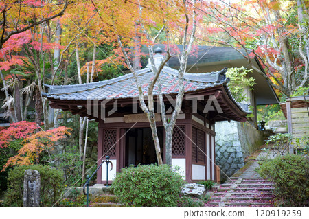 Mitaki寺廟秋葉 120919259