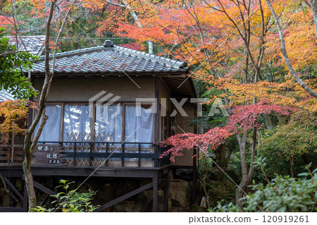 Mitaki寺廟秋葉 Mitaki寺廟秋葉 120919261