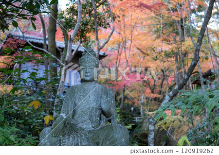 Mitaki寺廟秋葉 120919262