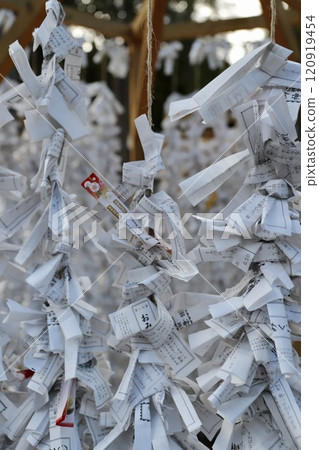 A place to hang fortune slips on a vertical rope inside the shrine grounds 120919454