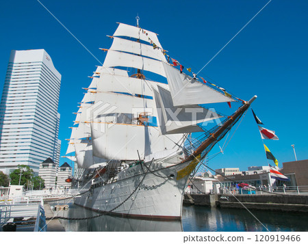 Nippon Maru sailing ship, full sail on Culture Day Cityscape (November 2024) 120919466