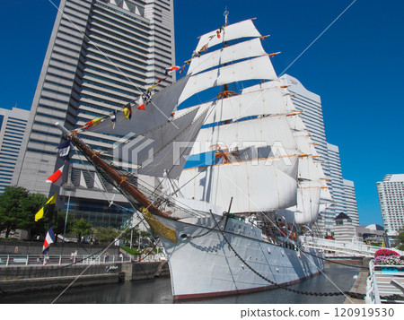 Nippon Maru sailing ship, full sail on Culture Day Cityscape (November 2024) 120919530