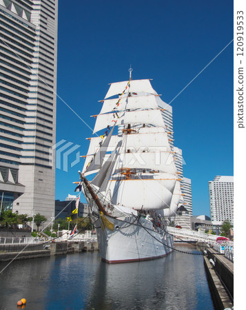 帆船日本丸文化日全帆展覽城市景觀（2024年11月） 120919533