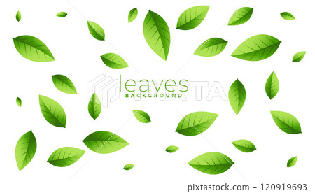 falling scattered green leaves background 120919693