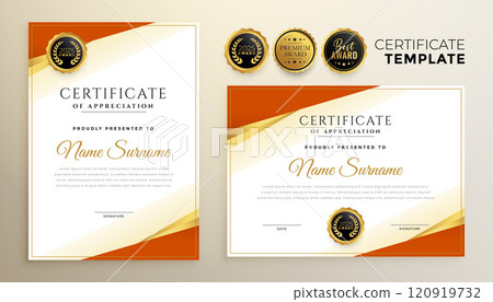 Professional diploma certificate template in premium style Professional diploma certificate template in premium style 120919732
