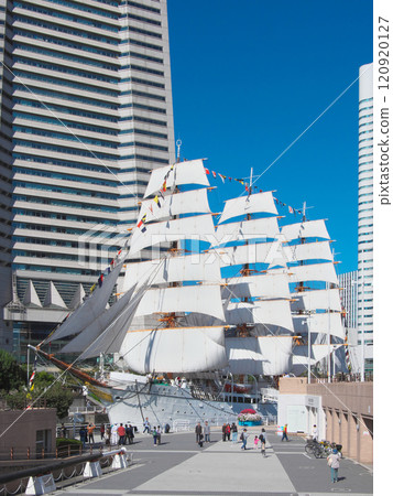 Nippon Maru sailing ship, full sail on Culture Day Cityscape (November 2024) 120920127