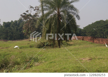 historical Archaeological tourable Pundranagar Brick Wall historical Archaeological tourable Pundranagar Brick Wall 120920253