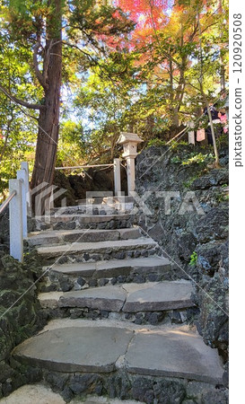 多摩川富士 多摩川富士 120920508