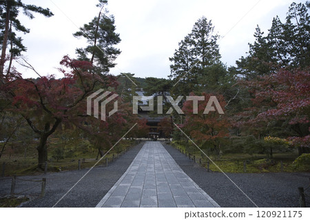 南禪寺 - 從參道處看到樹木開始變色和法堂 1 號 南禪寺 - 從參道處看到樹木開始變色和法堂 1 號 120921175