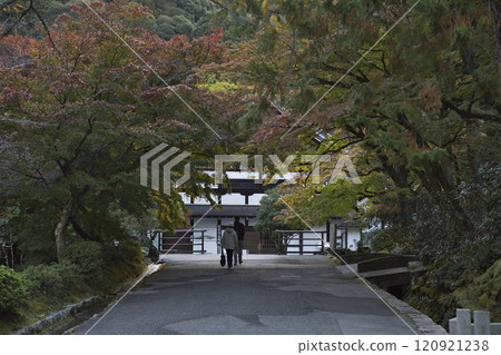 Nanzenji Temple: Main temple and autumn leaves in the grounds 2 120921238