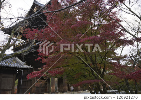 南禪寺、楓葉、秋葉和三門 1 南禪寺、楓葉、秋葉和三門 1 120921270