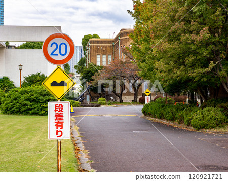 Regulatory sign 323 "Maximum speed" Warning sign 209-3 "Uneven road surface" Non-legal sign "Steps ahead" 120921721