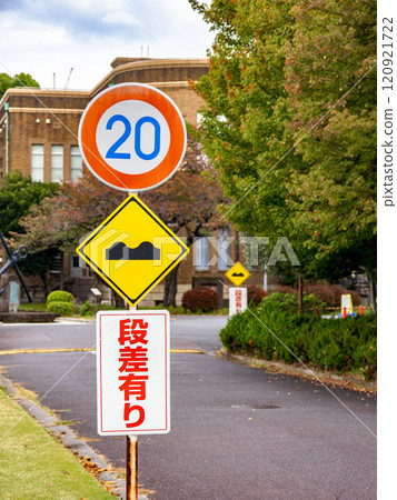 Regulatory sign 323 "Maximum speed" Warning sign 209-3 "Uneven road surface" Non-legal sign "Steps ahead" 120921722