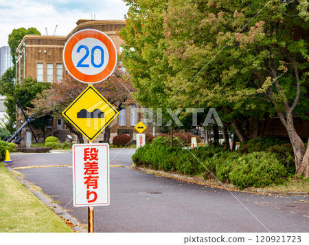 Regulatory sign 323 "Maximum speed" Warning sign 209-3 "Uneven road surface" Non-legal sign "Steps ahead" 120921723