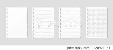 Ruled, gridded and dotted sheets. Blank sheets of notebook with grid for homework and exercises. Creative vector illustration mock up diary. 120921961