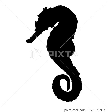 Sea Horse. Black isolated silhouette of a sea animal on a white background. Vector clipart illustration. 120921994