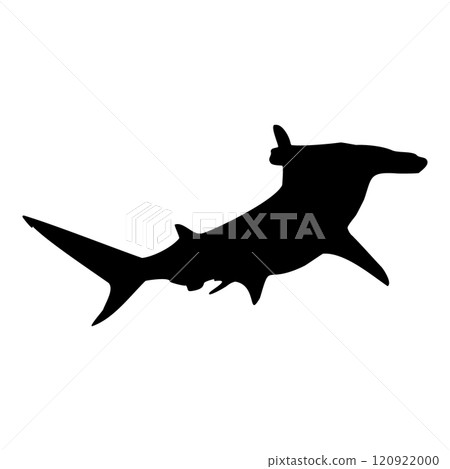 Hammerhead shark isolated black silhouette. Side view. Marine animal. White background. Vector illustration clipart. 120922000